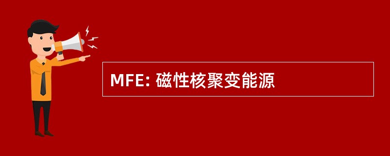 MFE: 磁性核聚变能源