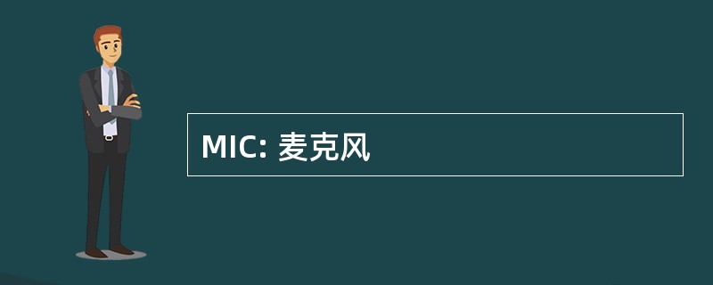 MIC: 麦克风