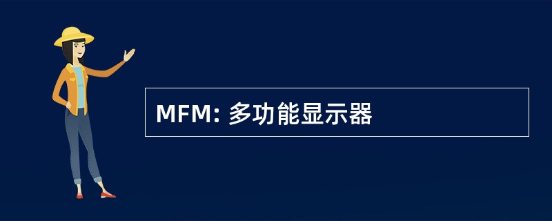 MFM: 多功能显示器