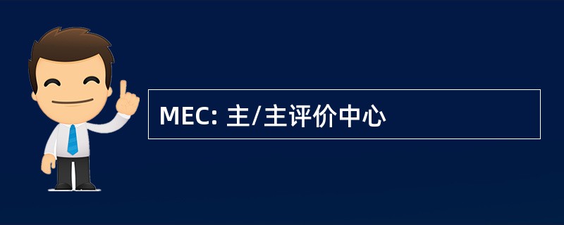 MEC: 主/主评价中心