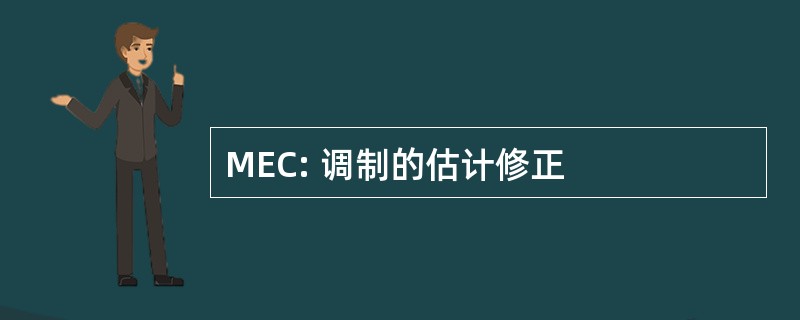 MEC: 调制的估计修正