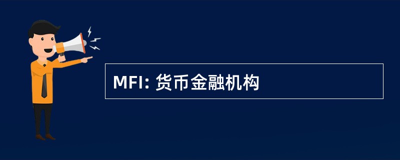 MFI: 货币金融机构