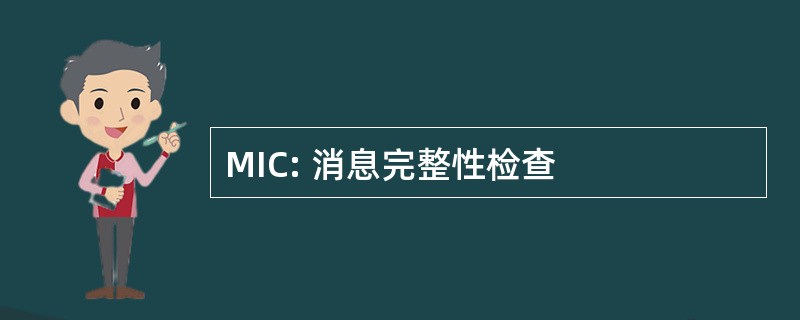 MIC: 消息完整性检查