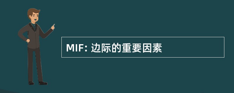 MIF: 边际的重要因素