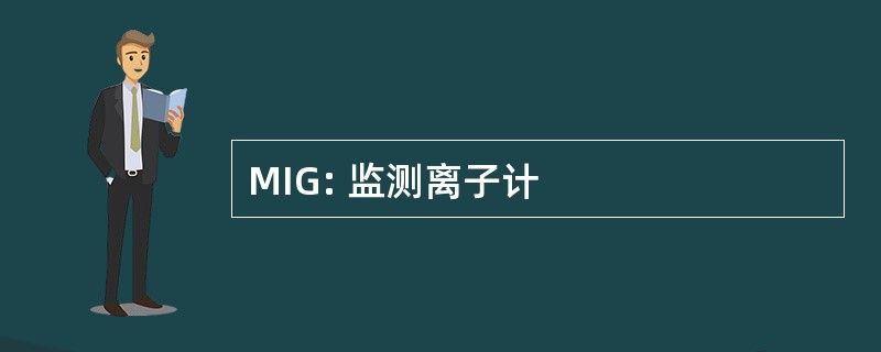 MIG: 监测离子计