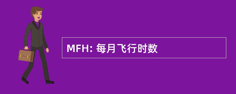 MFH: 每月飞行时数