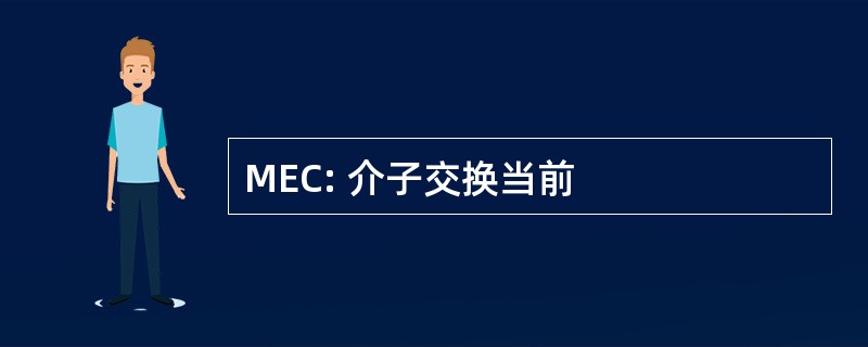 MEC: 介子交换当前