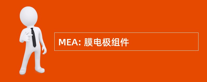 MEA: 膜电极组件