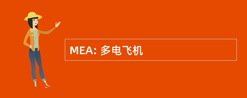 MEA: 多电飞机