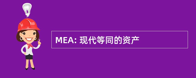 MEA: 现代等同的资产