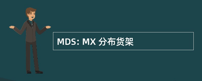 MDS: MX 分布货架