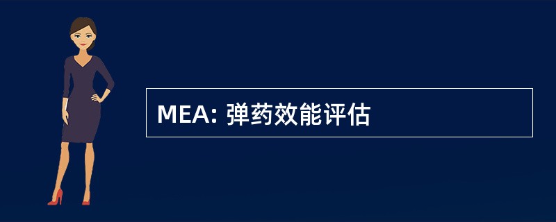 MEA: 弹药效能评估