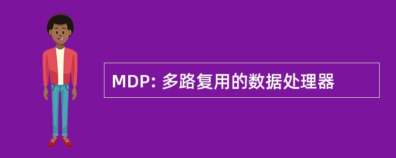 MDP: 多路复用的数据处理器