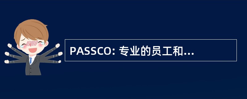 PASSCO: 专业的员工和软件系统顾问