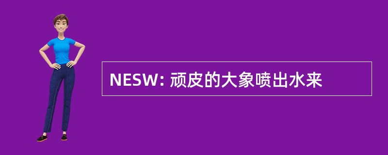 NESW: 顽皮的大象喷出水来