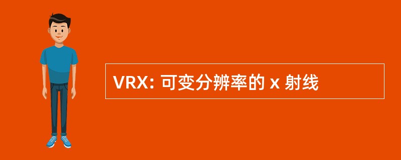 VRX: 可变分辨率的 x 射线