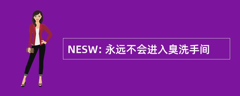 NESW: 永远不会进入臭洗手间