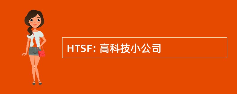 HTSF: 高科技小公司