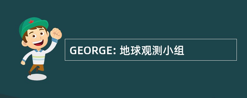 GEORGE: 地球观测小组