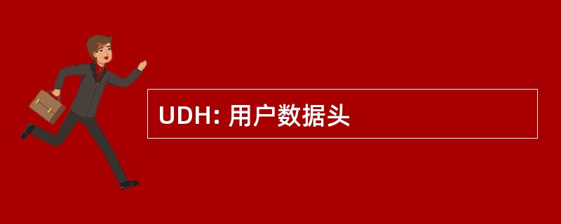 UDH: 用户数据头