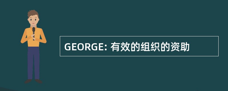 GEORGE: 有效的组织的资助