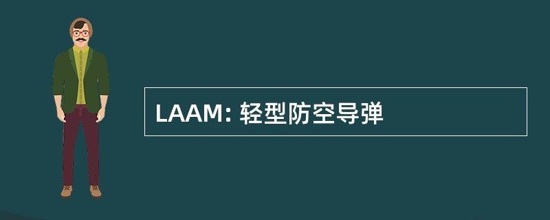 LAAM: 轻型防空导弹