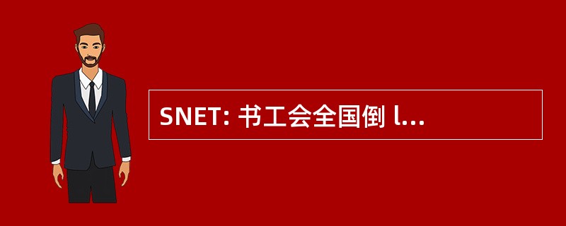 SNET: 书工会全国倒 l&#039;etude des 运输 aeriens