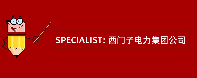 SPECIALIST: 西门子电力集团公司