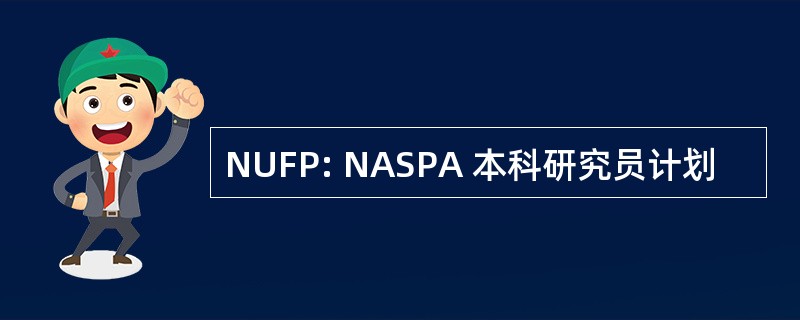 NUFP: NASPA 本科研究员计划