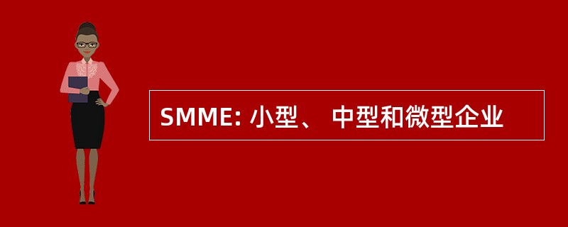 SMME: 小型、 中型和微型企业