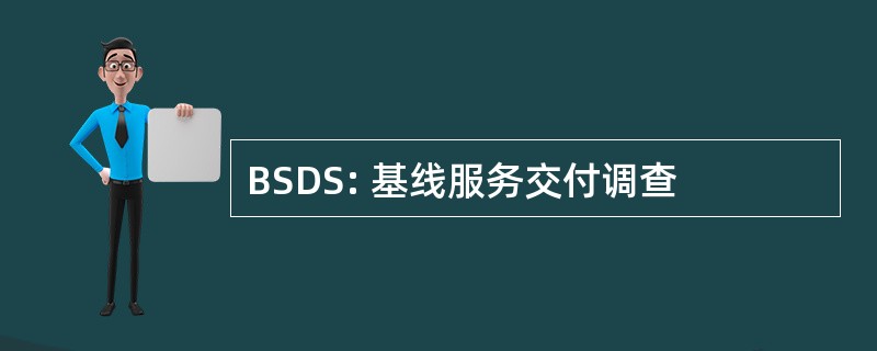 BSDS: 基线服务交付调查