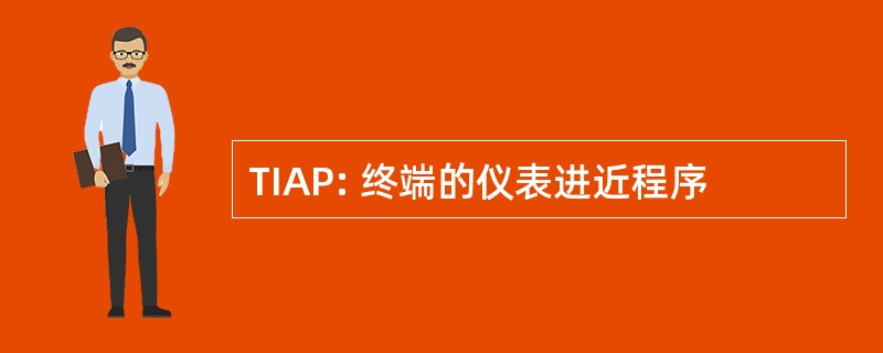 TIAP: 终端的仪表进近程序