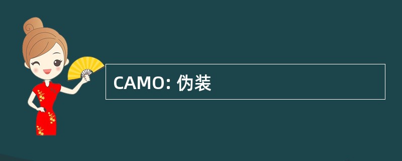 CAMO: 伪装