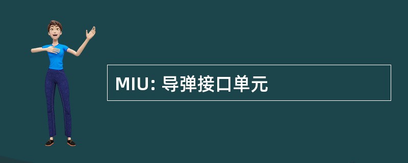 MIU: 导弹接口单元