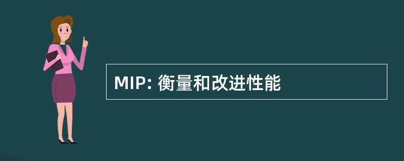 MIP: 衡量和改进性能