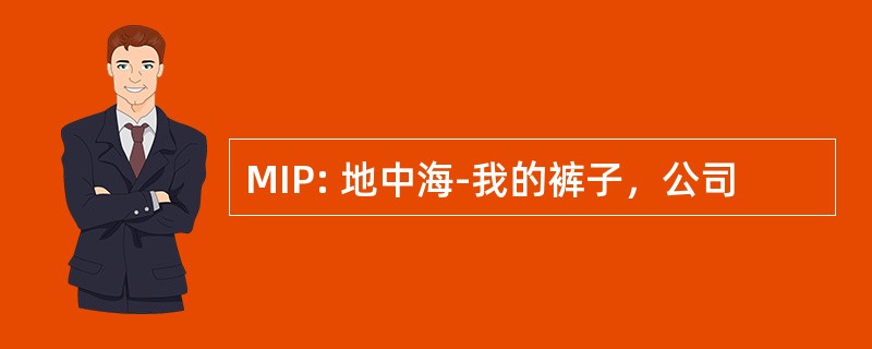 MIP: 地中海-我的裤子，公司