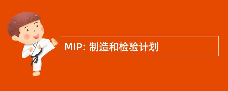 MIP: 制造和检验计划