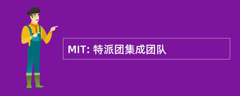 MIT: 特派团集成团队