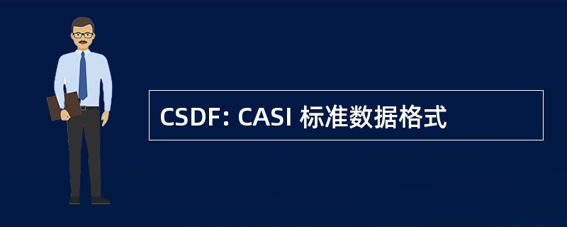 CSDF: CASI 标准数据格式