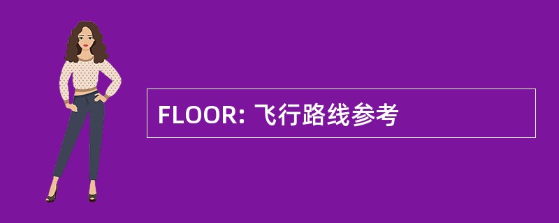 FLOOR: 飞行路线参考