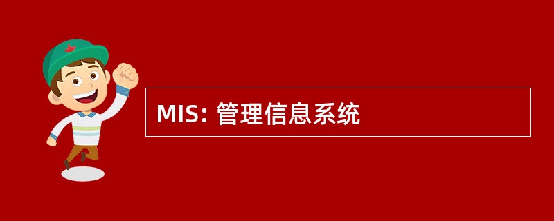 MIS: 管理信息系统