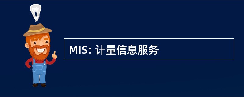 MIS: 计量信息服务