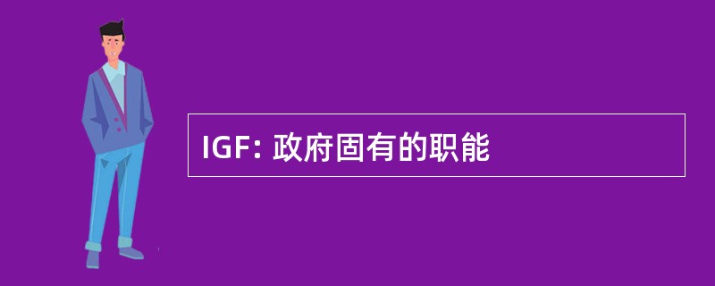 IGF: 政府固有的职能