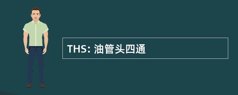 THS: 油管头四通