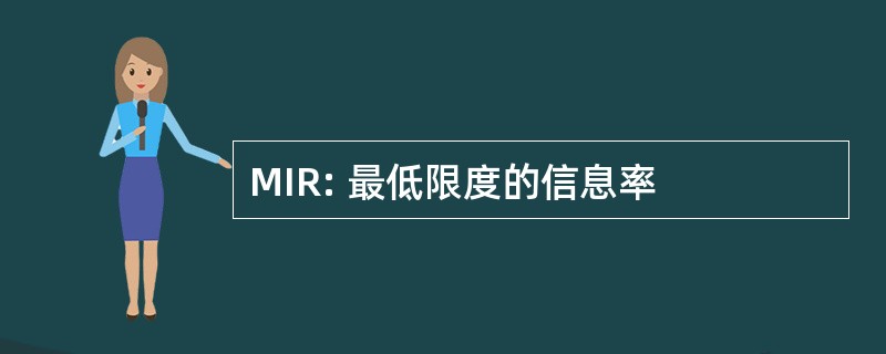 MIR: 最低限度的信息率