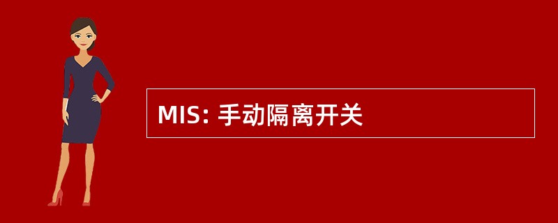 MIS: 手动隔离开关