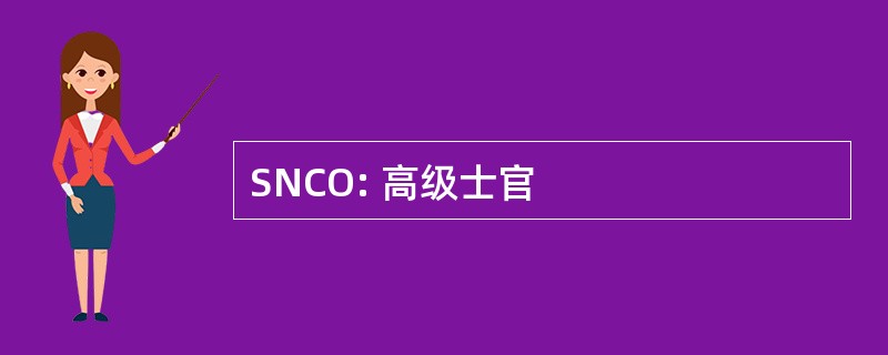 SNCO: 高级士官