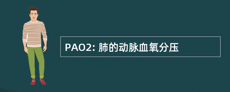 PAO2: 肺的动脉血氧分压