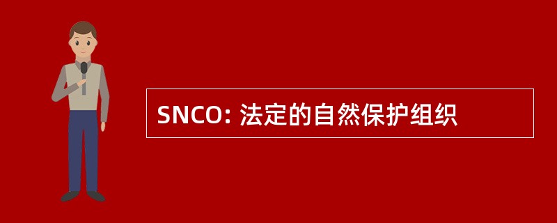 SNCO: 法定的自然保护组织