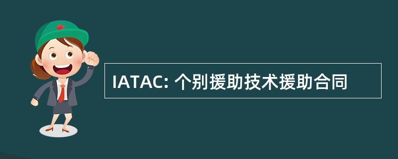 IATAC: 个别援助技术援助合同